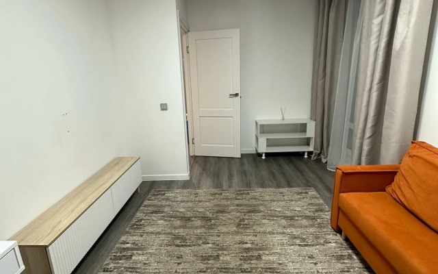 Апартаменты Евротрешка у метро Большевиков