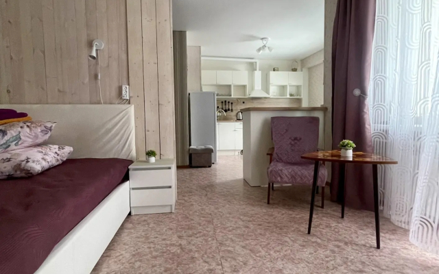 Квартира Стильная Студия от Сети 100Квартир