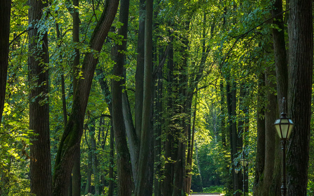 Volynskoye Congress Park