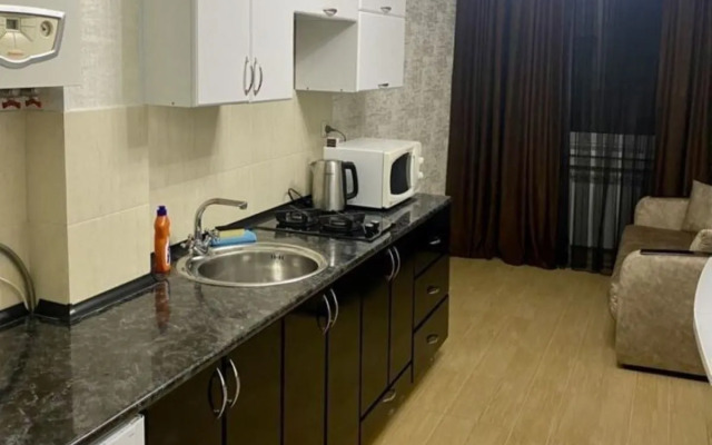 Квартира на Улице Академика Шёгрена 17