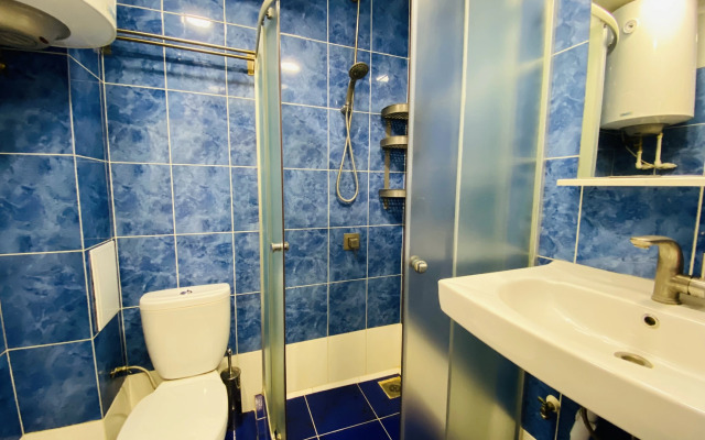 Апартаменты Hanaka на Пионерской 21Б №1