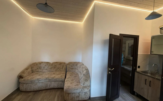 Частный дом студия Junglе