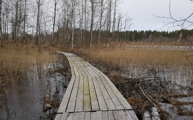 База отдыха Загородный Клуб Ромашка