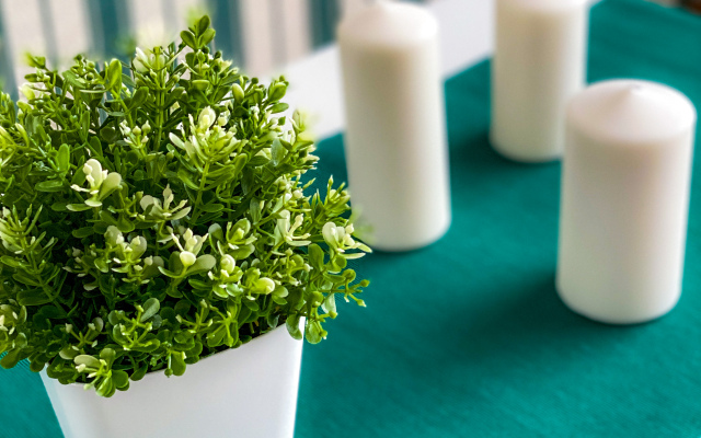 Апартаменты Unique Apart Оазис рядом с РИАцентром, КузГТУ и Площадью Волкова на Красноармейской 103