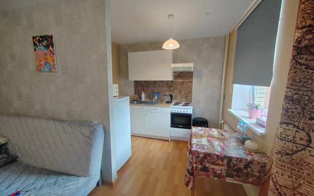 U Metro Parnas Flat