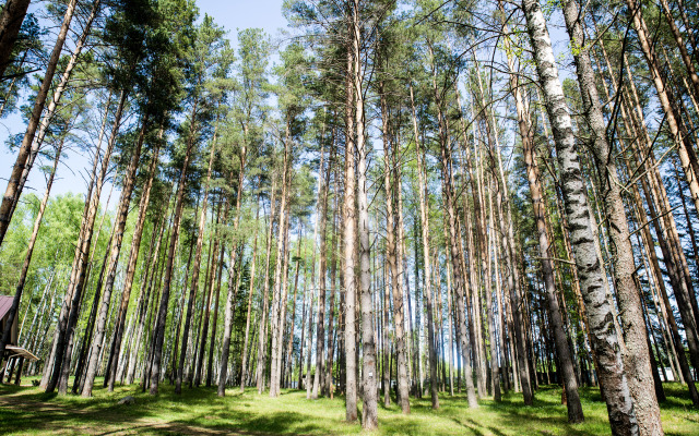 Ekousad'ba Arhangelskaya na Volge Chalet