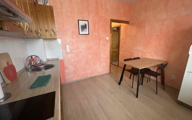 Апартаменты на Склизкова 116