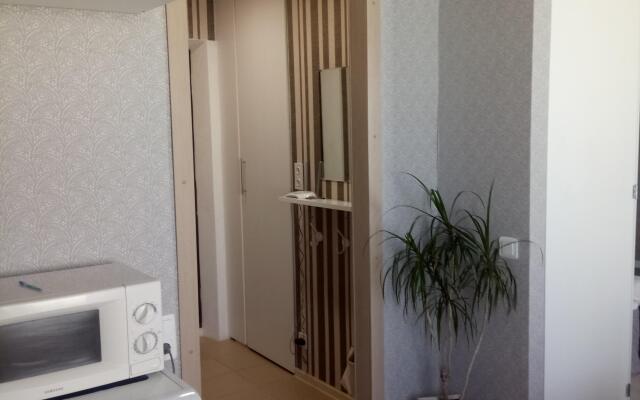 Uyutnoe Gnezdishko Apartments