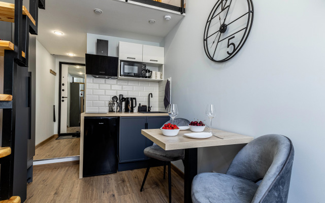 Studiya v tsentre Peterburga Flat