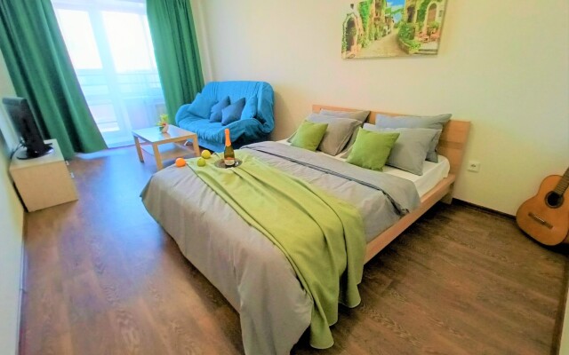 One-room RusDom near the recreation center Rodina Apartments