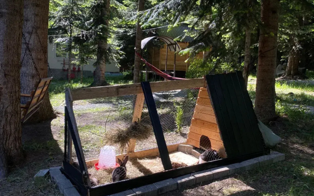 Шале Red Fox Arkhyz