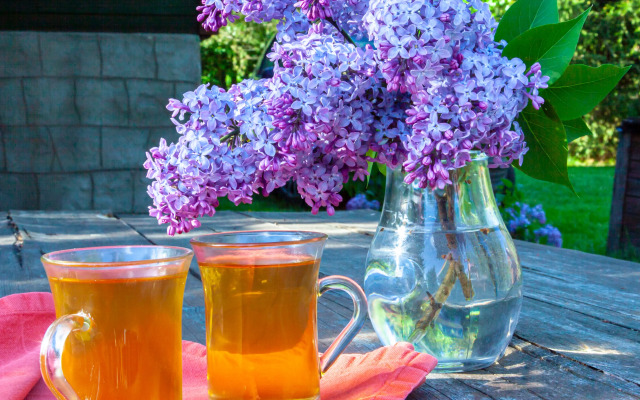 База отдыха Рыбацкая деревня