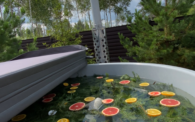 Частный дом Skandi Life