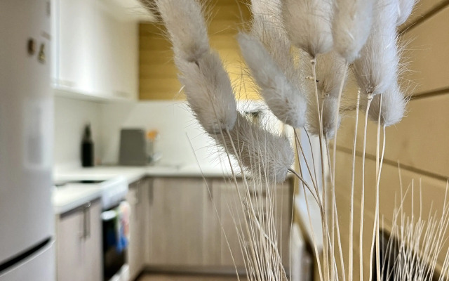 Гостевой дом Дом на Петровааре