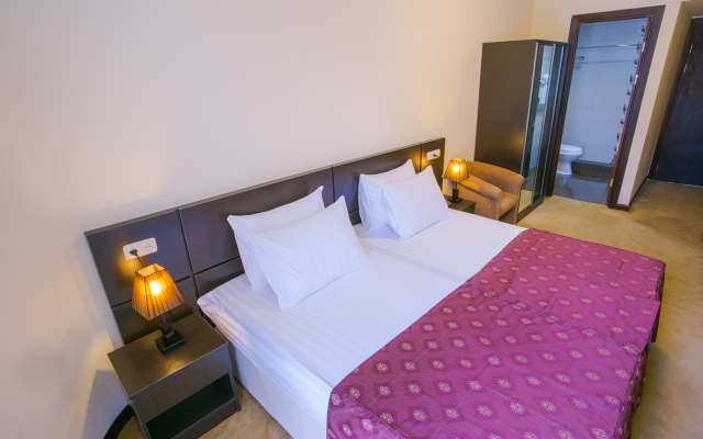 Ani Central Inn