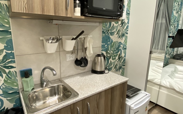 Апартаменты АпраксинХаус-9