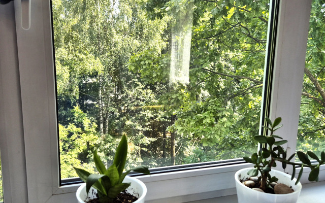 Квартира в центре Пушкино на Тургенева