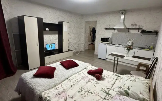 Квартира студия 27 м² на Курыжова 16