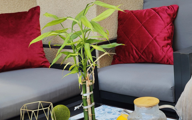 Апартаменты WhiteLOFT