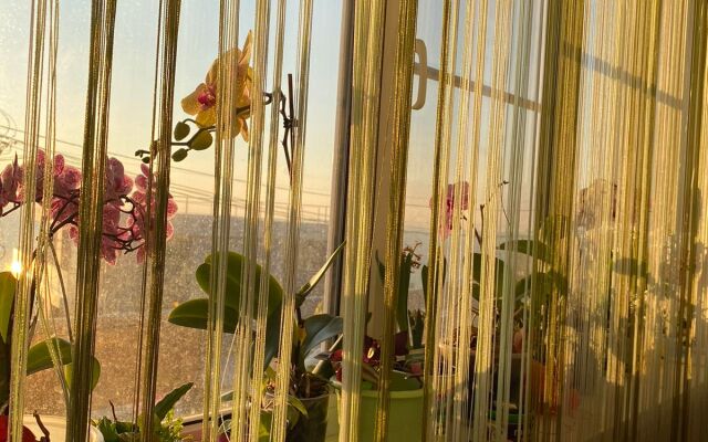 Aist Guest House