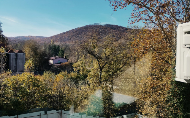 Квартира Студия в центре санаторного парка