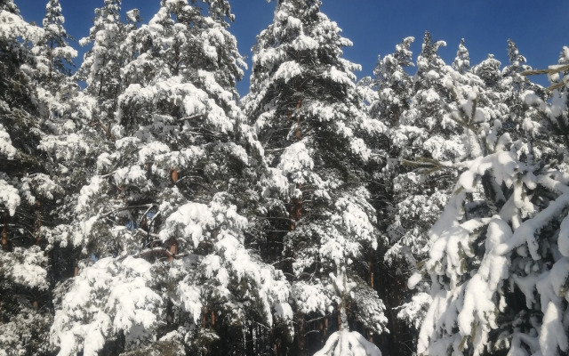 Гостевой дом Усадьба Чикмарёвых