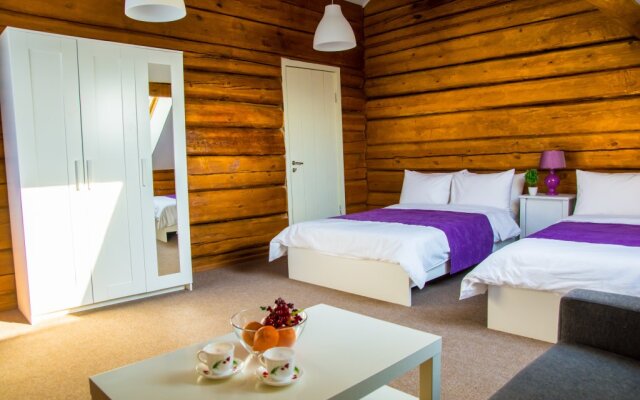 Berezka Mini-Hotel