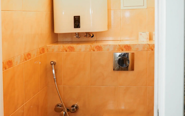 Апартаменты на Большой Московской 38