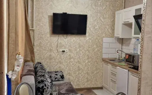 U Anichkova mocta 1 Flat