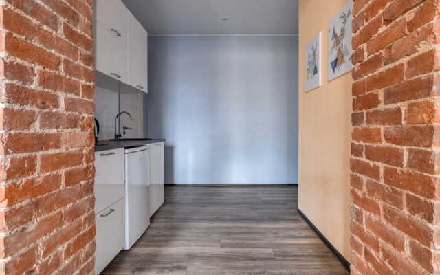 Апартаменты Улучшенные СуткиСпб Василеостровская