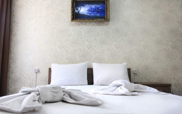 New Palace Shardeni Hotel