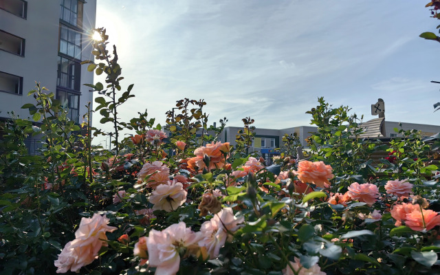 Квартира Лофт в Притяжении