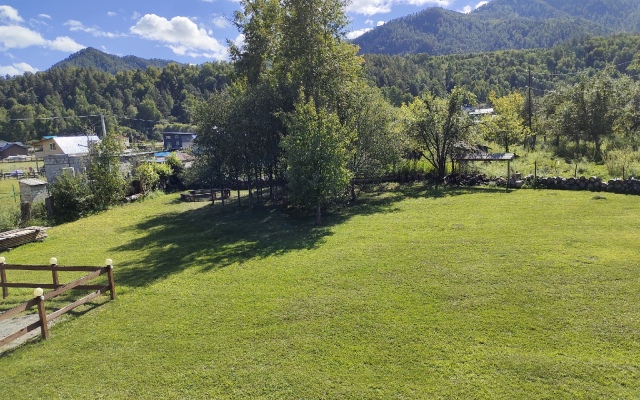Homestead Golden Bear