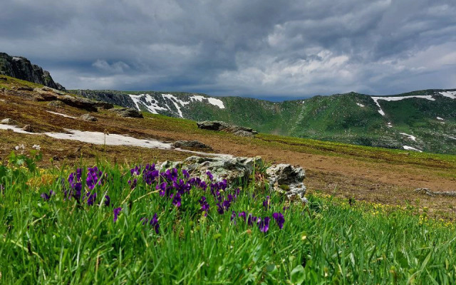 Recreation camp Altayskaya Roza