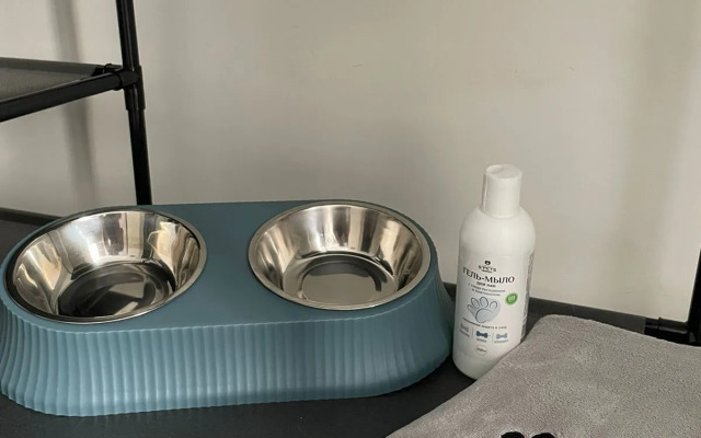 Квартира Уютная Студия Догфрендли на Севере Города Санкт Петербург