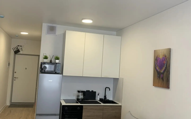 Квартира Стильная студия в Ватутинках Центральный