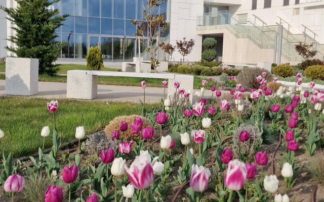 Меблированные комнаты на Туристической