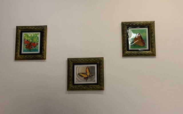 Квартира на Большом Сампсониевском Проспекте 33