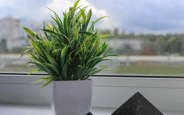 Studiya U Yablonevogo Sada Flat