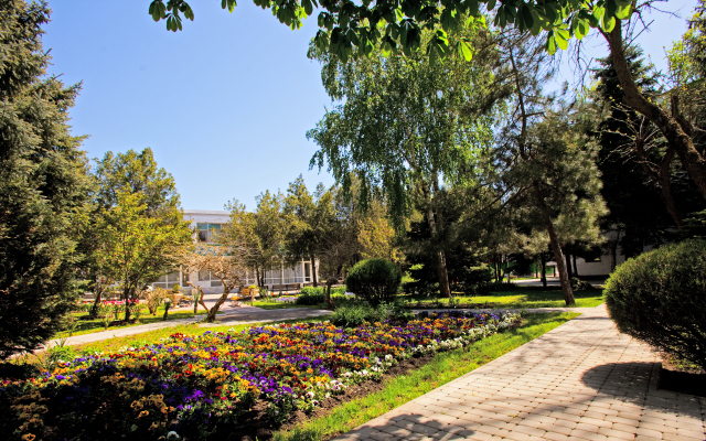Rodnik Resort