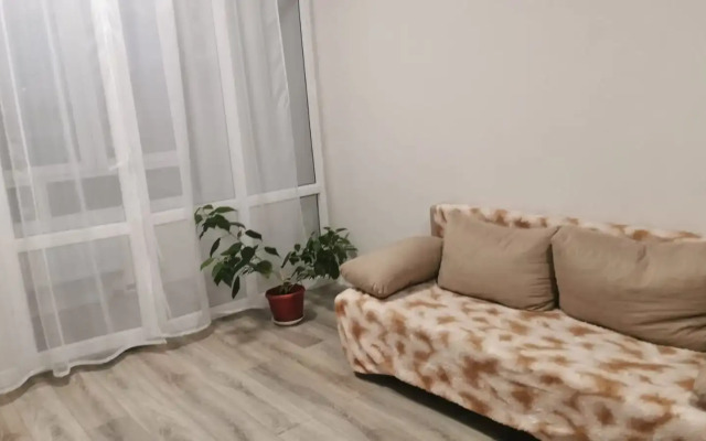 Odnokomnatnaya Ryadom S Tsentrom Flat