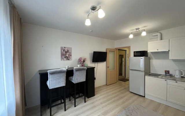 Квартира Уральское время на Евгения Савкова 46