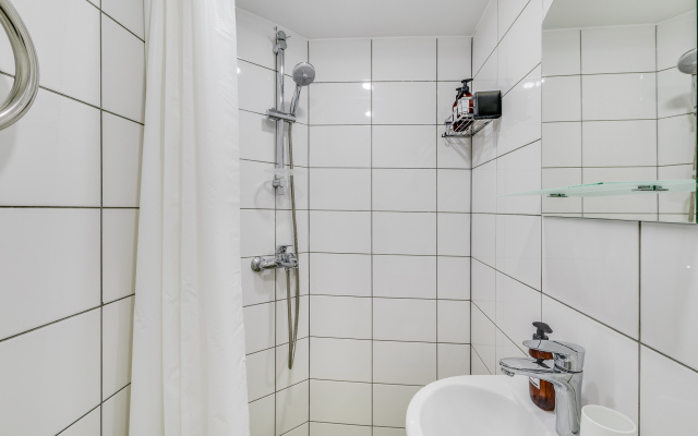 Апартаменты Лебедев Лофт на Невском 158 (4)