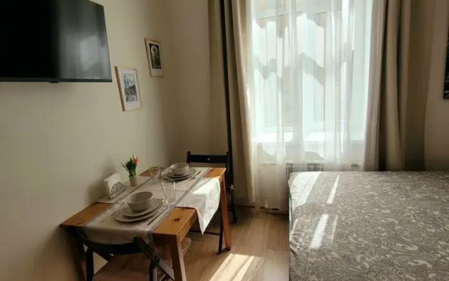 Квартира - студия в иcтoричeскoм цeнтре Санкт-Пeтеpбургa (4)