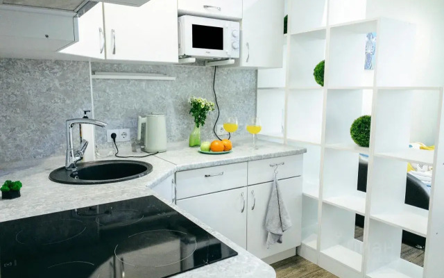 Uyutnaya Studiya S Gamakom Apartments
