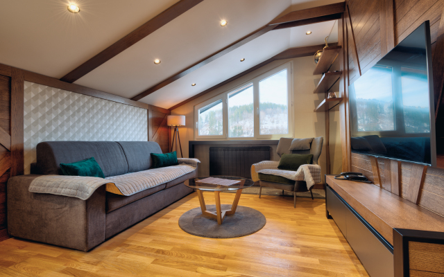 Modern Mountain CENTRAL 18 + garage Apartments