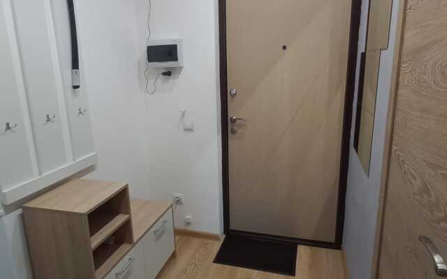 Cozy apartment on Prazhskaya