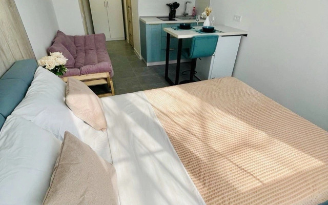 Апартаменты рядом с ЖД вокзалом Воронеж 1