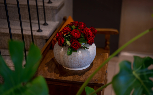 Galavani by Vintage  Collections