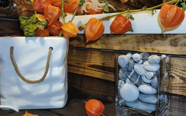 Частный дом в лесу у реки